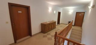 Apartmani Pjevalo-Mljet - Polače - 4