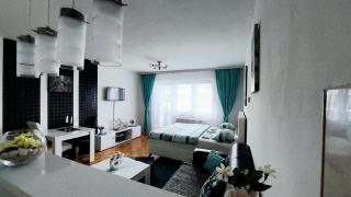 Stan na dan-Apartman ,,Dejana,, - Lukavica - 9