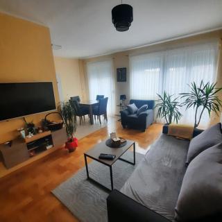 Apartman JOVANA - Dušanovac (historical) - 9