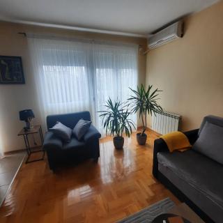 Apartman JOVANA - Dušanovac (historical) - 6