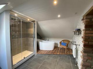 No 2 Dolheulog Aberaeron - 9