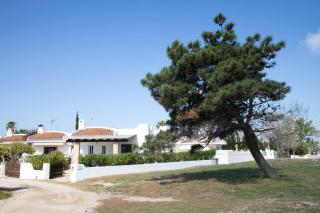 Eusebio - Casa en Riumar para 4 personas y en primera línia de mar - Deltavacaciones - Riumar - 2