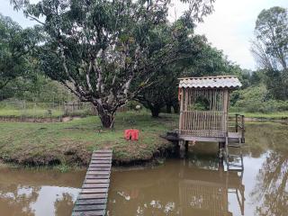 Chácara Calixto - Belém - 3