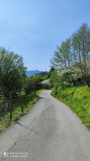 La Pezzuola 53 - Sopralacroce - 4
