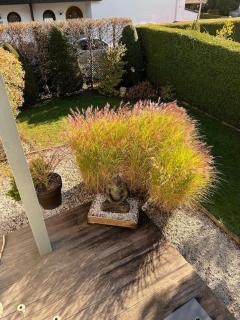 Alpsoul eine Ferienwohnung mit Charisma…. - 2