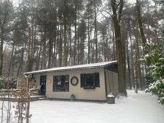 Chalet Sint-Hubertus Deluxe - Zutendaal - 8