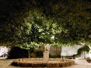 Masseria San Martino - Polignano a Mare - 9
