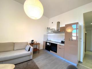 T2 Cocooning au coeur de Vienne - Vienne - 1