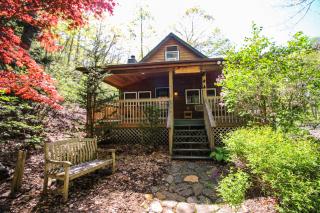 Roaring Creek - 8