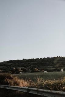 Bibbia- Tenuta di Campagna - 3