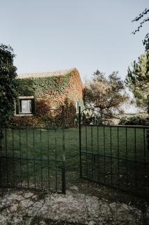 Bibbia- Tenuta di Campagna - 5