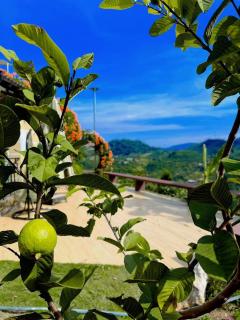 Du Mây Homestay - Bao Loc - 3