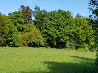 Gästehaus Cube am Forsthaus - Hausbach - 7