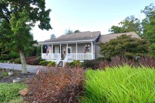 Blue Badger Cottage -Wifi, Fire Pit, Fireplace, Screen Porch, Game Room, King Bed, Grill - Morton Grove - 7