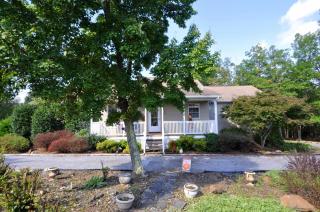Blue Badger Cottage -Wifi, Fire Pit, Fireplace, Screen Porch, Game Room, King Bed, Grill - Morton Grove - 6
