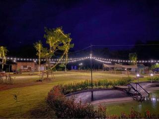 Common Camping KhaoYai - 3