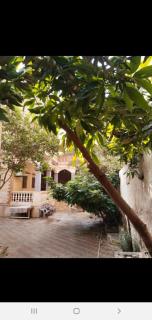Florence Hotel - Giza - 8