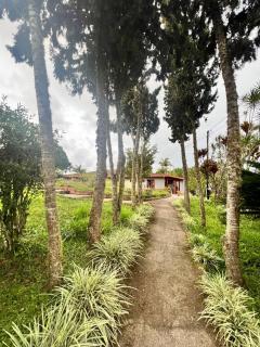 El FAUNO HOSTEL CAMPESTRE - Jericó - 8