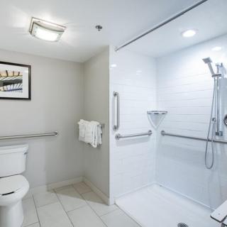 Holiday Inn St Louis SW - Route 66 by IHG - Saint Louis - 1