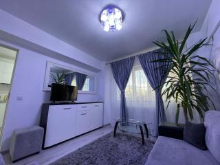 Traveler’s Luxury Home - Suceava - 8