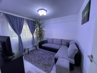 Traveler’s Luxury Home - Suceava - 9
