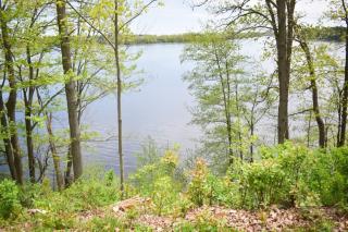 Bliss on the Lake - 8