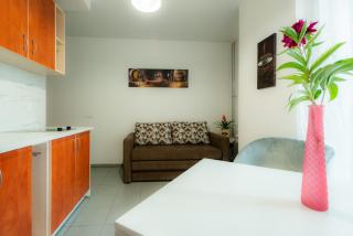 Loft apartment - Druskininkai - 3