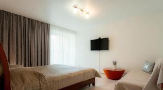 Loft apartment - Druskininkai - 9