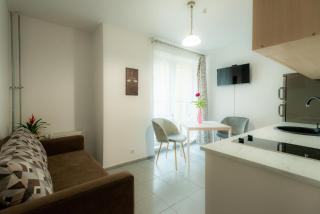 Loft apartment - Druskininkai - 1