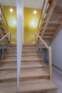 Loft apartment - Druskininkai - 8
