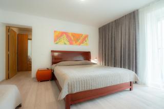 Loft apartment - Druskininkai - 0