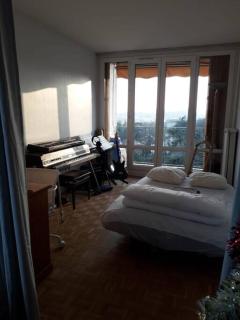 T4/5 avec vue sur les Alpes à 5 minutes de Lyon - La Mulatière - 8