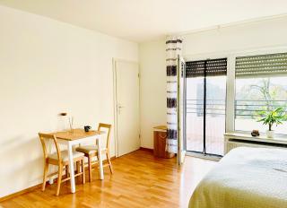 Schöne Wohnung mit Balkon in Heidelberg - Heidelberg - 1