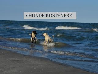 Haus Krabbe Apartments, zentral gelegen im idyllischen Nordseeort zwischen Bremerhaven und Cuxhaven, Hunde kostenfrei willkommen, hauseigene kostenfreie Parkplätze - Wremen - 2
