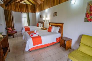 Hotel Campo Verde - Fortuna - 7