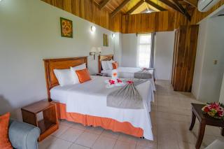 Hotel Campo Verde - Fortuna - 6