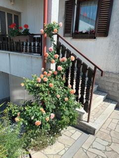 Apartments Perić - Opatija - 1