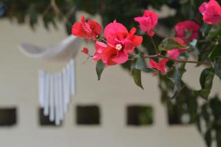 Cottage on Diamond Street - Swakopmund - 8