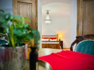 Zentrum Vintage Appartments - Braşov - 2