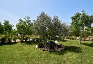Masseria Pitanni - 2