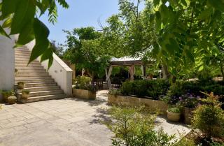 Masseria Pitanni - 6
