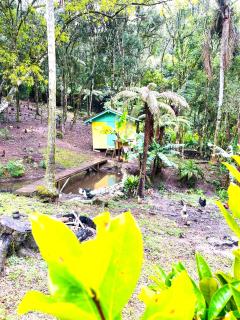 Sítio Nature - Rancho Queimado - 6