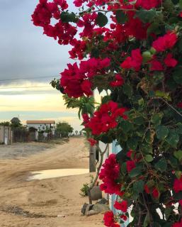 Casa Ohana - Cruz - 2