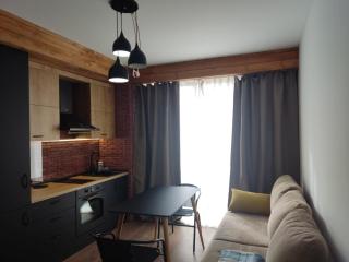 Evdo Apartments F4 Stylish Room - Gudauri - 9