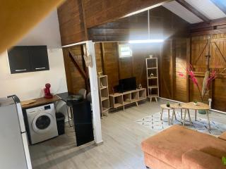 LA ROSE DE CHAMP FLEURY - 8