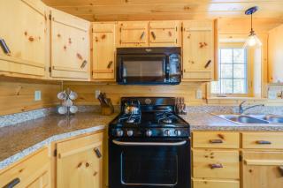 Peaceful Bradford Cabin with Pond and Covered Deck! - - 3