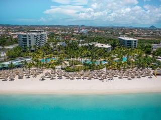 Hilton Aruba Caribbean Resort & Casino - Palm-Eagle Beach - 0