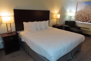 Best Western Childress West Hotel - Childress - 9