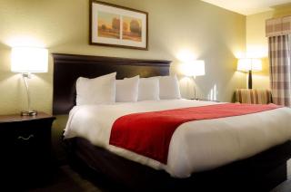 Country Inn & Suites by Radisson, Tuscaloosa, AL - Tuscaloosa - 4