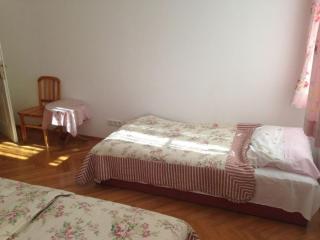 Holiday apartment Comfortable Vacation Home - Viena - 3